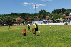 505724472_1026747969618623_286355227245155610_n