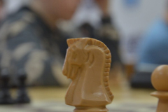 423006272_697319515894805_5987198978227371650_n